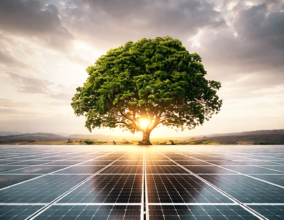 Rayzon Global Vision