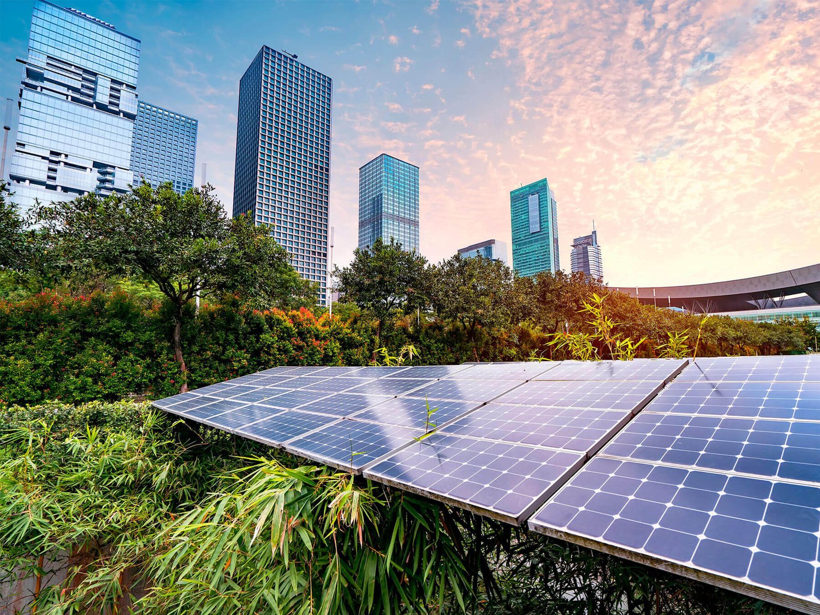 Commercial Solar Project Installation