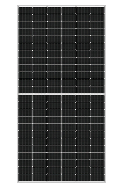 Bifacial Module