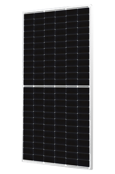Bifacial Module